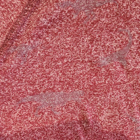 Creative Destruction Dinosaur Hooded Shirt - Picture 2 of 3